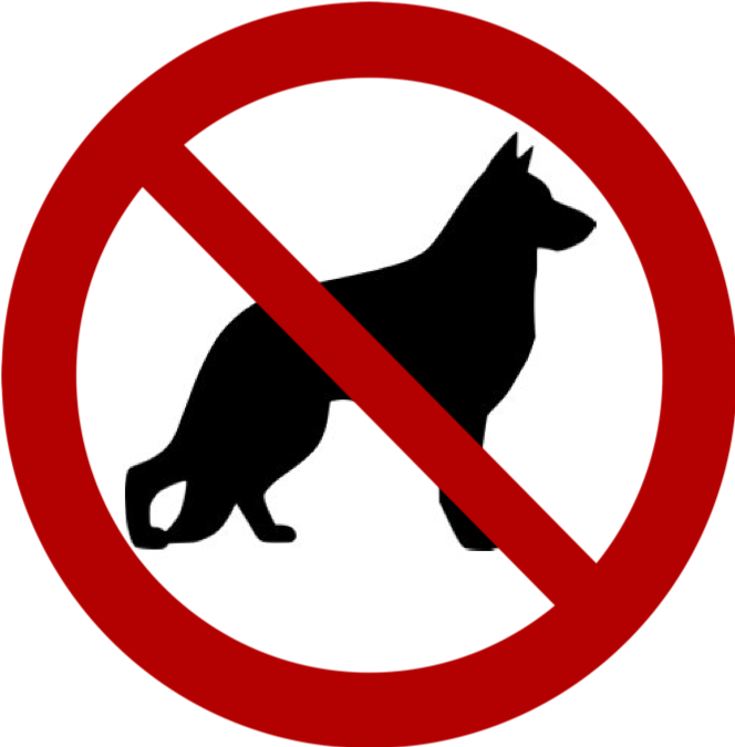 Glow Sticks Clipart (664x675), Png Download