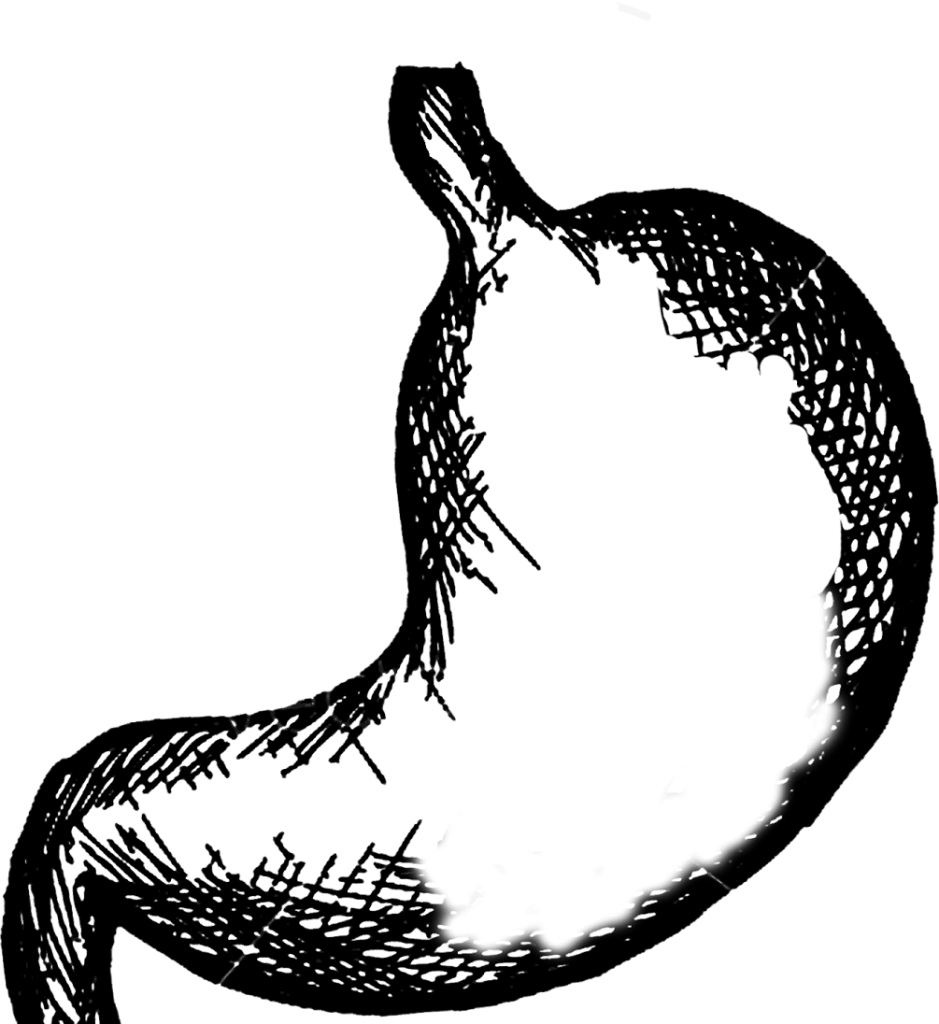 Statue Of Liberty Sphinx Stomach Astroids Clipart (939x1024), Png Download