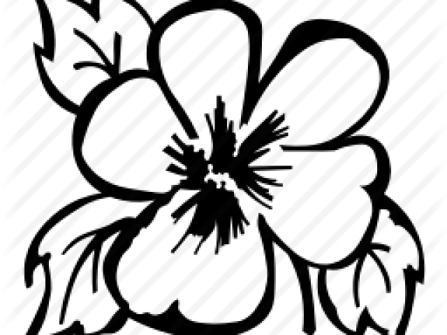 Buttercup Clipart Pansy - Png Download (640x480), Png Download
