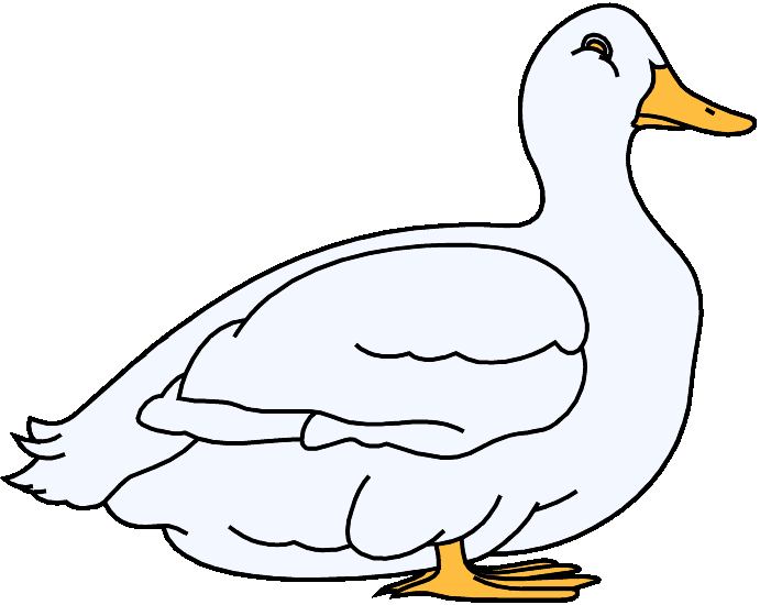 Duck - Clipart (691x550), Png Download