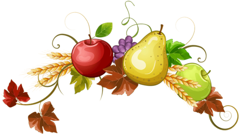 Autumn Fruits Decoration Png Clipart (850x492), Png Download