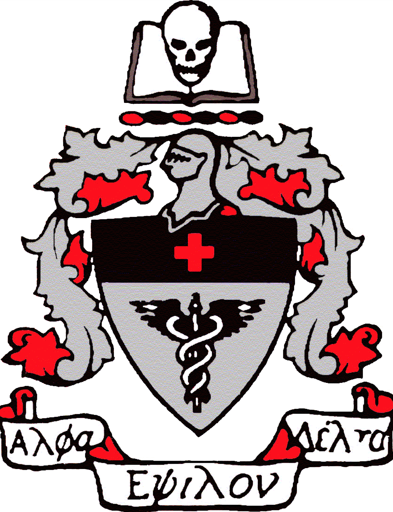 Alpha Epsilon Delta Clipart (1379x1796), Png Download