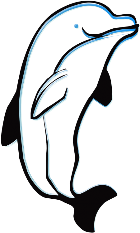 Flipper Clip Art - Png Download (500x774), Png Download