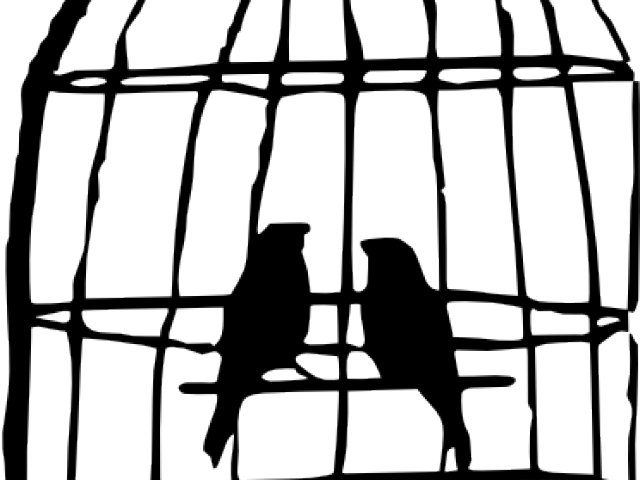 Cage Clipart Bird's - Bird In Cage Drawing - Png Download (640x480), Png Download