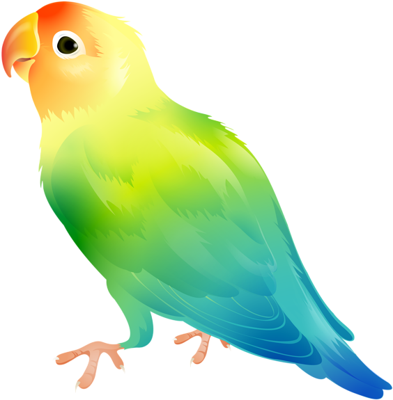 Parrot Bird Png Clip Art Image Transparent Png (575x600), Png Download