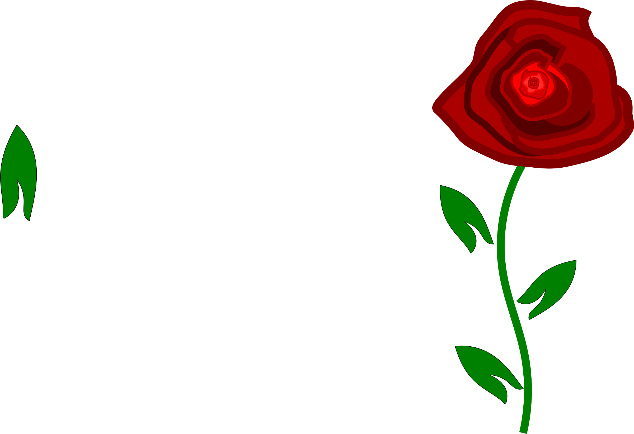 Free Red Rose Clip Art - Mexican Roses - Png Download (800x551), Png Download