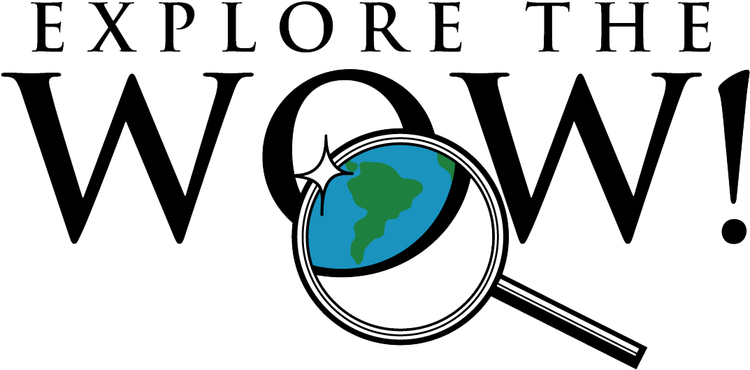 2010 Clipart (1162x585), Png Download