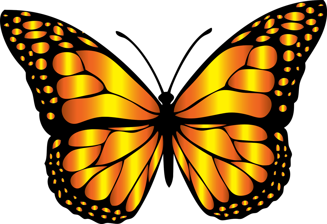 Butterfly Clip Art Free Download On - Butterfly Clip Art - Png Download (960x660), Png Download