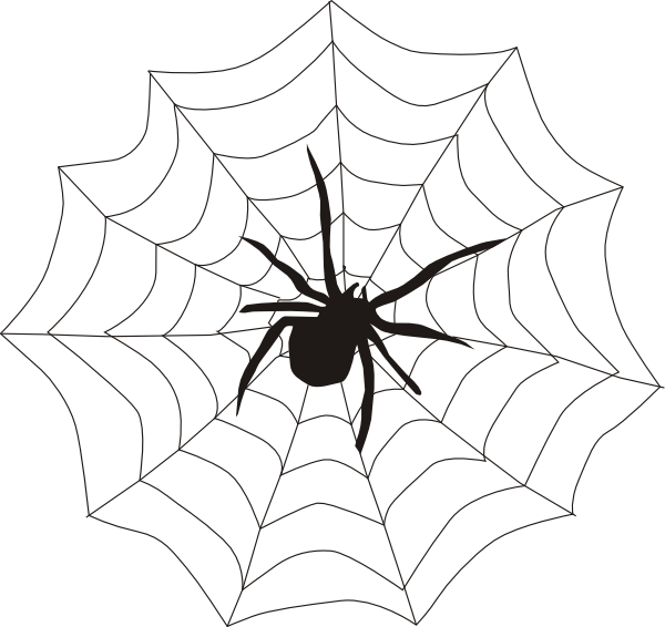 Spider And Web Clip Art - Spider On A Spider Web - Png Download (600x566), Png Download