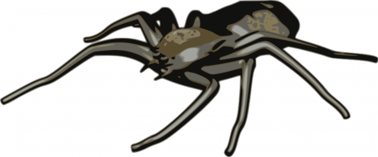 Free Spider Clipart - Arachne Clipart - Png Download (1204x500), Png Download