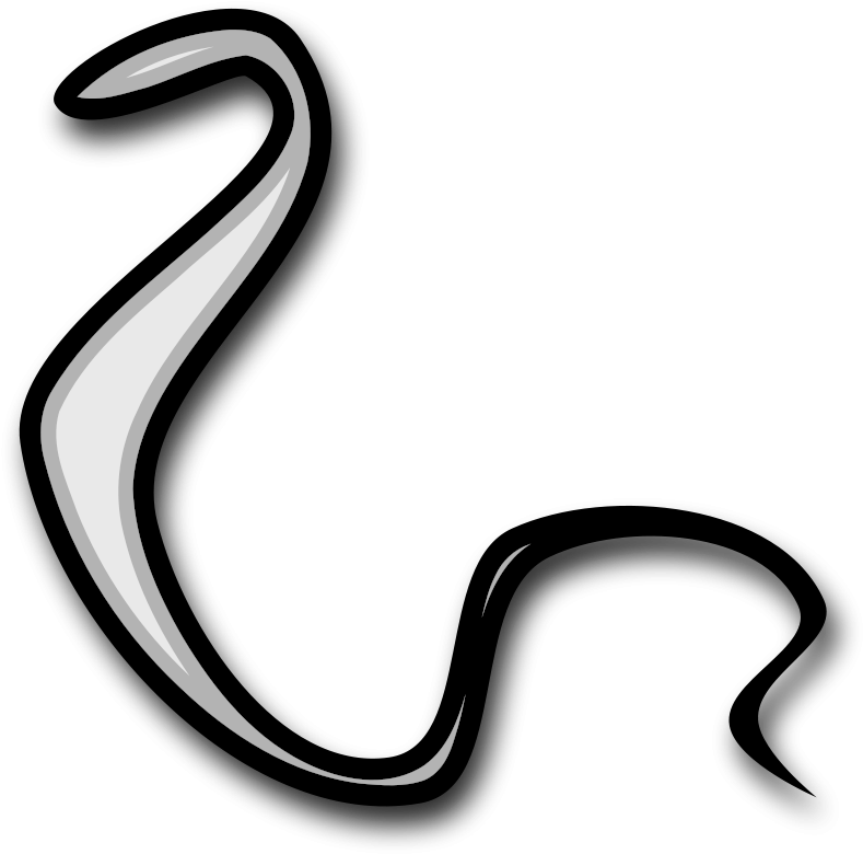 Serpent Clipart - Snakes - Png Download (800x790), Png Download