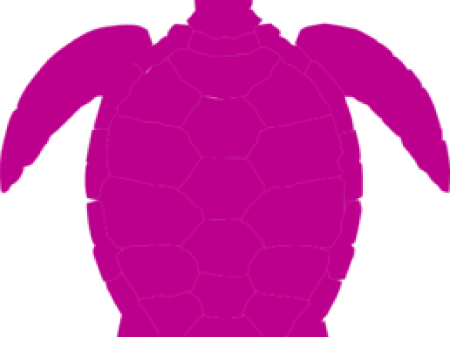 Sea Turtle Clipart Clip Art - Turtle Clipart Png Black Transparent Png (640x480), Png Download