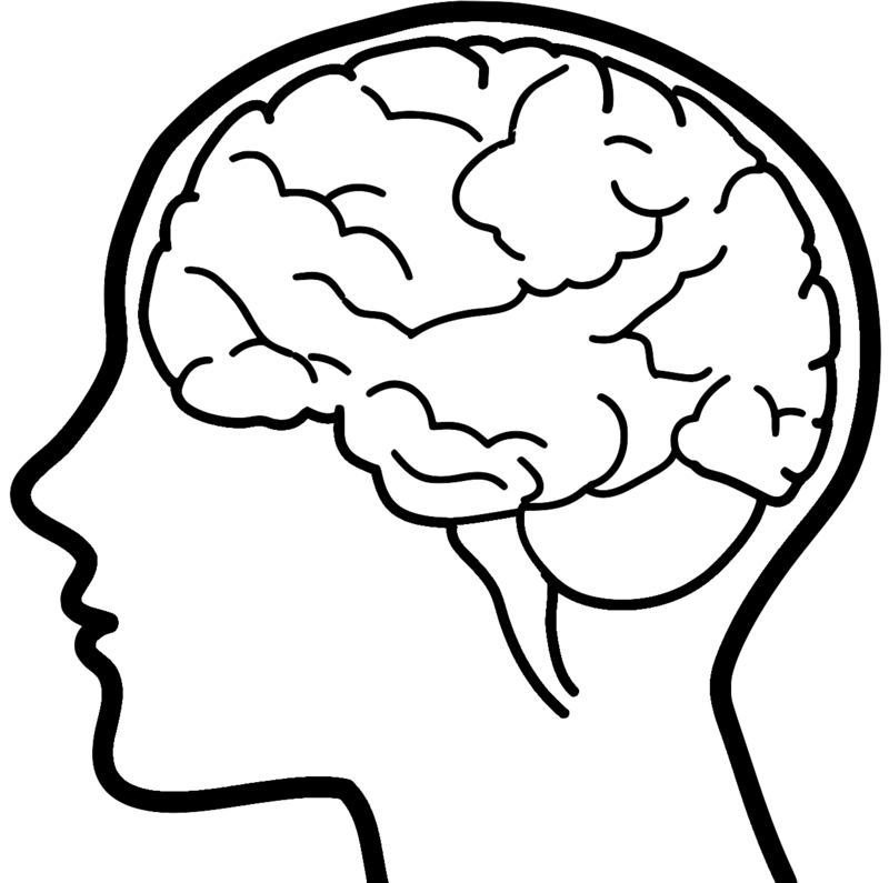 Brain Clipart Brain Drawing Clip Art - Crossword Puzzle Book For Adults By Speedy Publishing - Png Download (800x795), Png Download