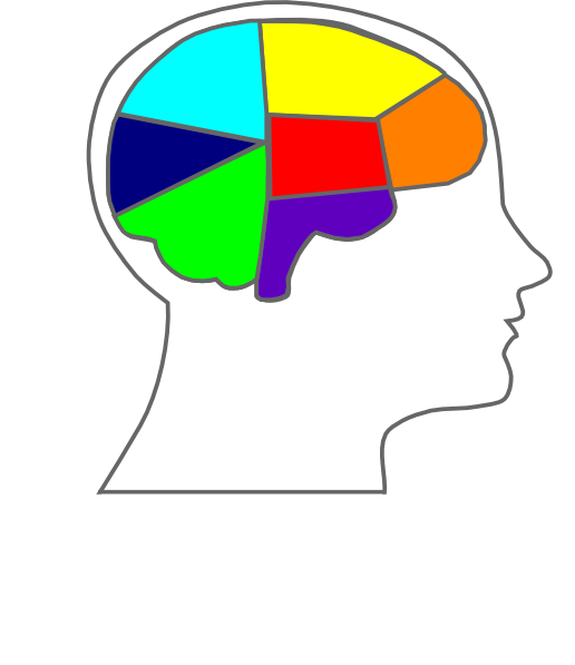 Human Clipart (516x597), Png Download