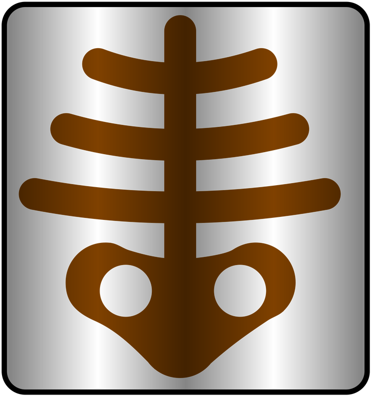 X Ray Clipart (800x800), Png Download