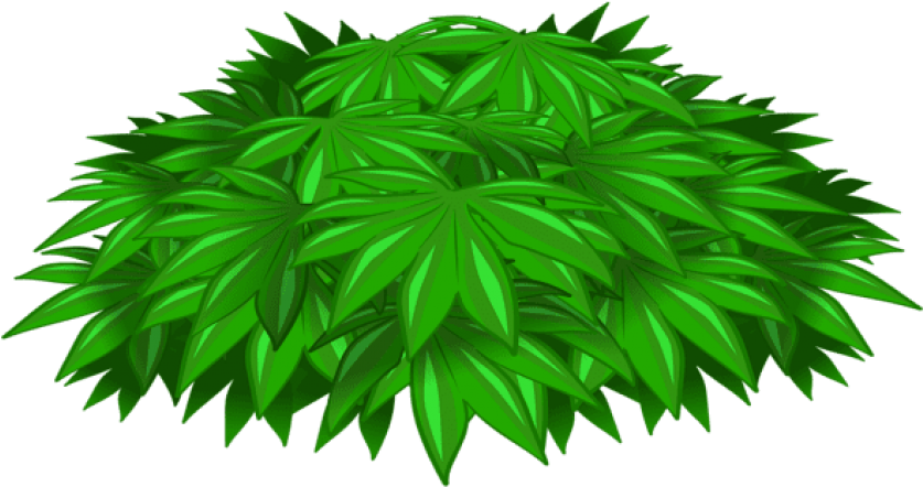 Download Plant Decotransparent Clipart Png Photo (850x457), Png Download