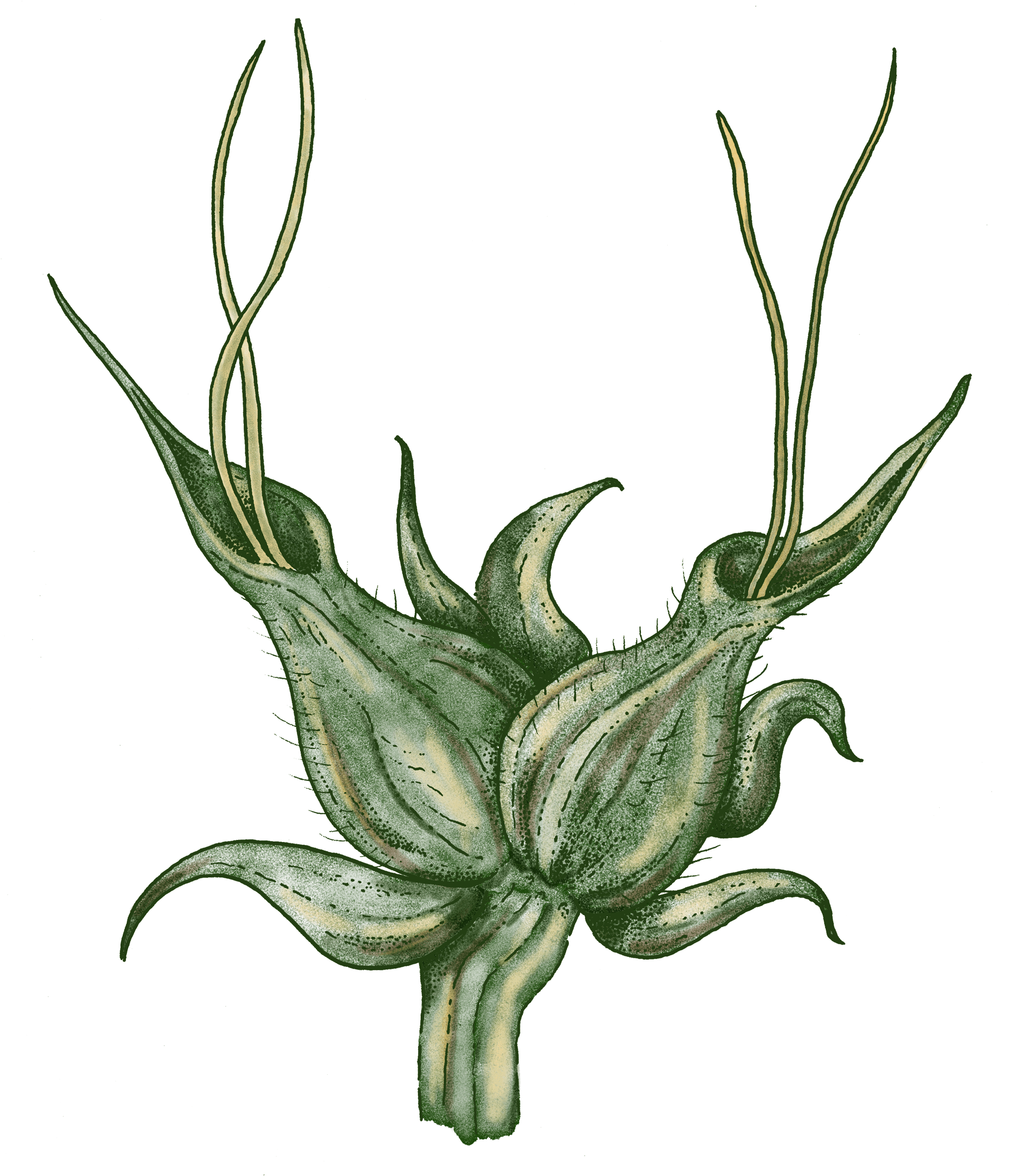 Together We Are Stronger Clipart (1980x2235), Png Download