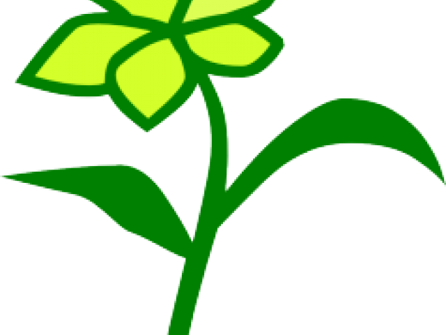 Daffodils Clipart Daffodil Flower - Png Download (640x480), Png Download