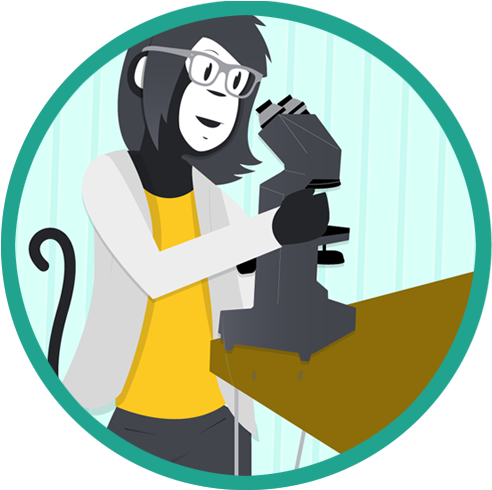 Digital Diagnostics Clipart (630x500), Png Download