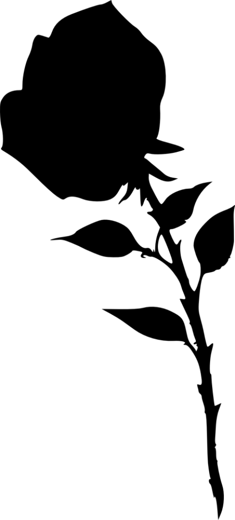 Rose Silhouette Clipart (400x884), Png Download