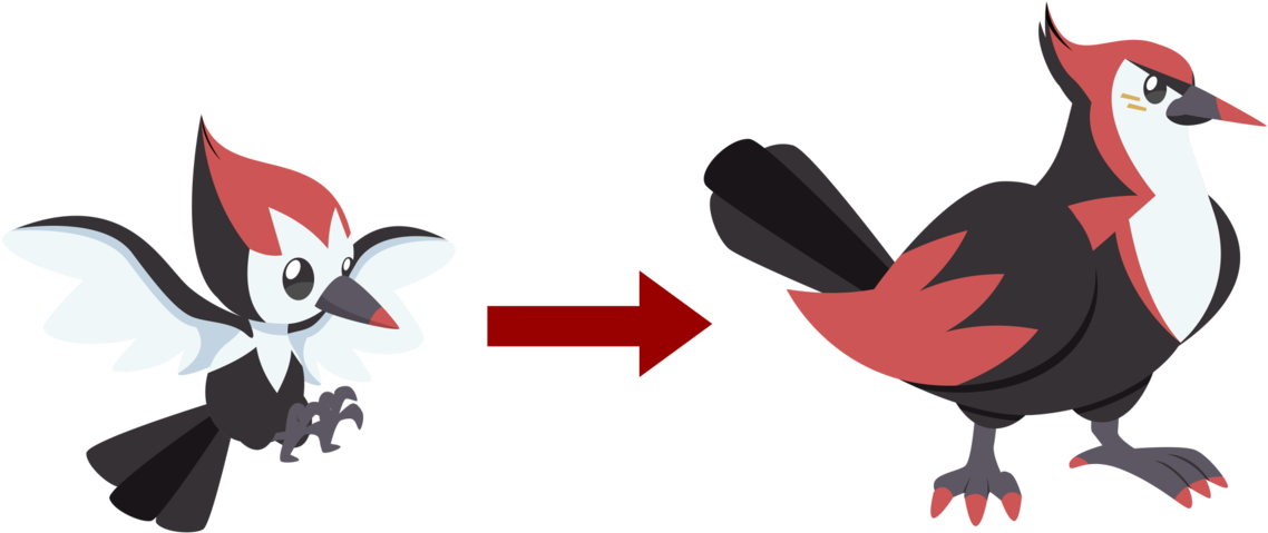 Feet Clipart Woodpecker - Png Download (1259x634), Png Download