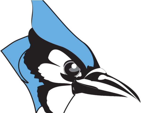Blue Jay Clipart - Png Download (640x480), Png Download
