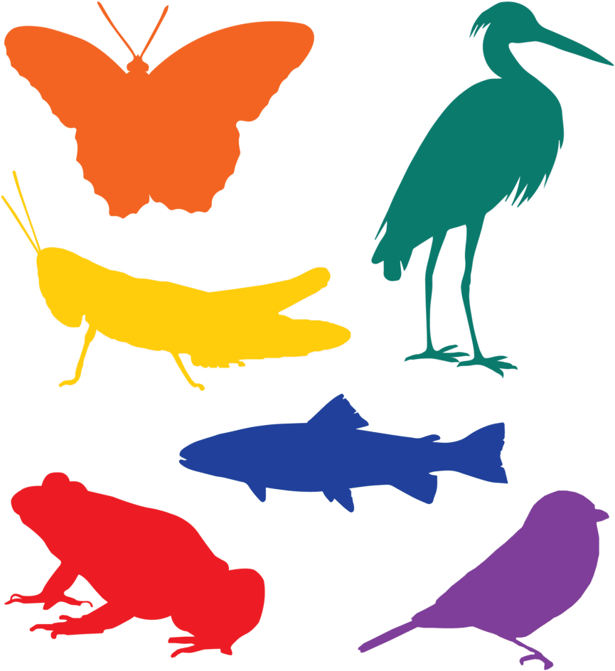 The Stormwater That Residents Of This Neighborhood Clipart (965x1024), Png Download