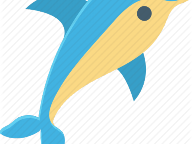 Bottlenose Dolphin Clipart Transparent Background - Png Download (640x480), Png Download