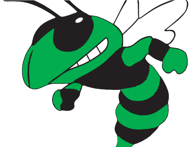 Hornet Clipart Albany - Png Download (640x480), Png Download