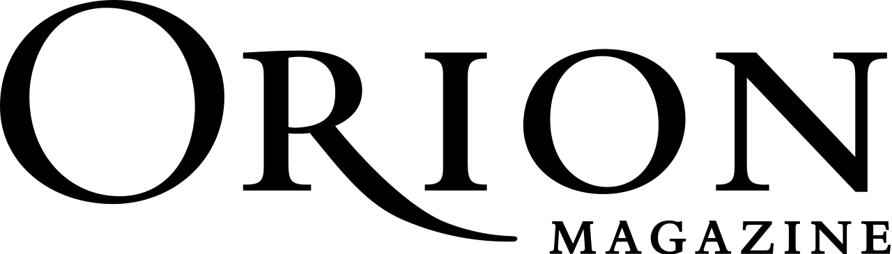 Logo Orion Magazine Clipart (1280x365), Png Download