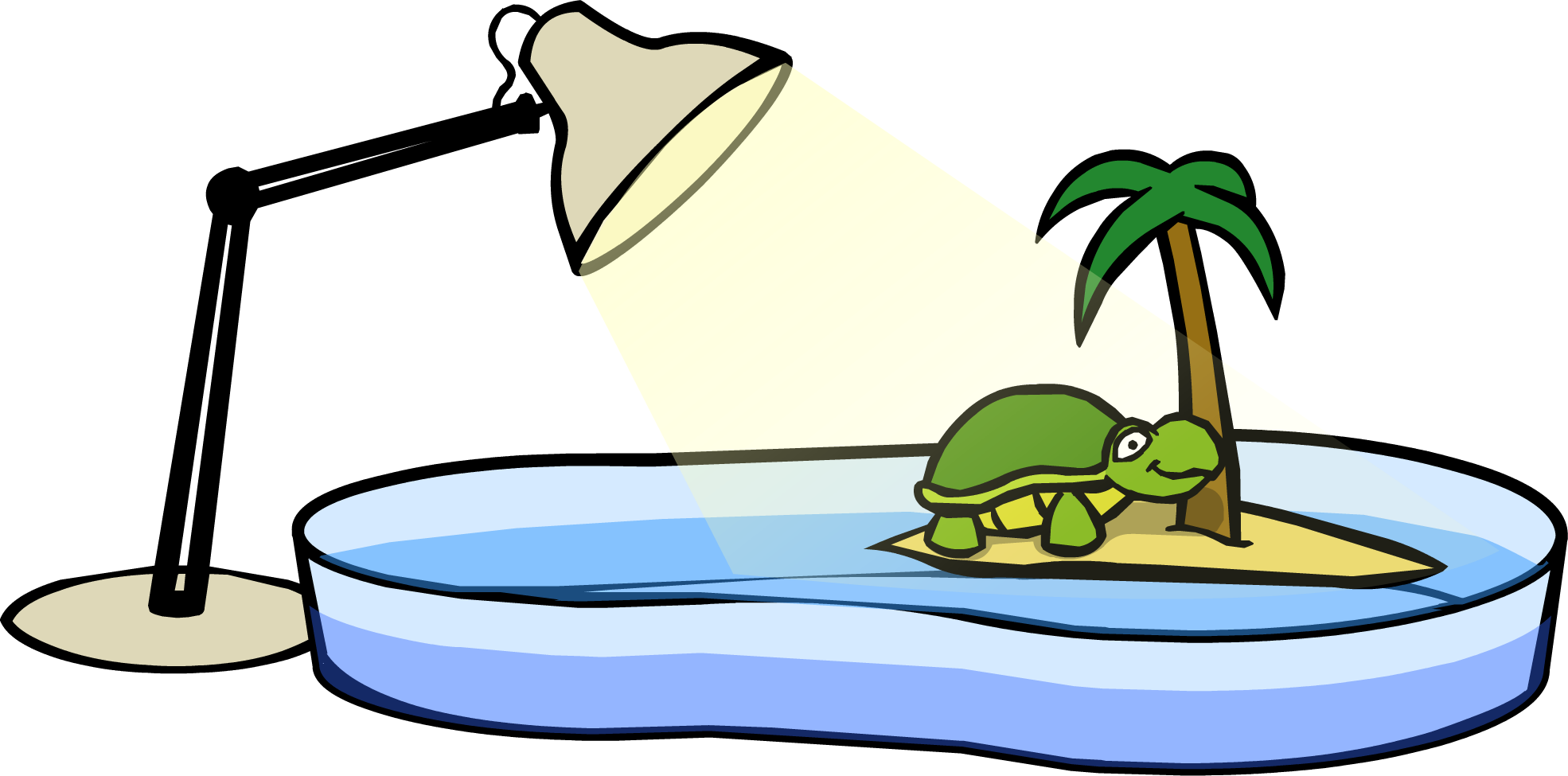 Turtle Bowl Clipart (1970x975), Png Download