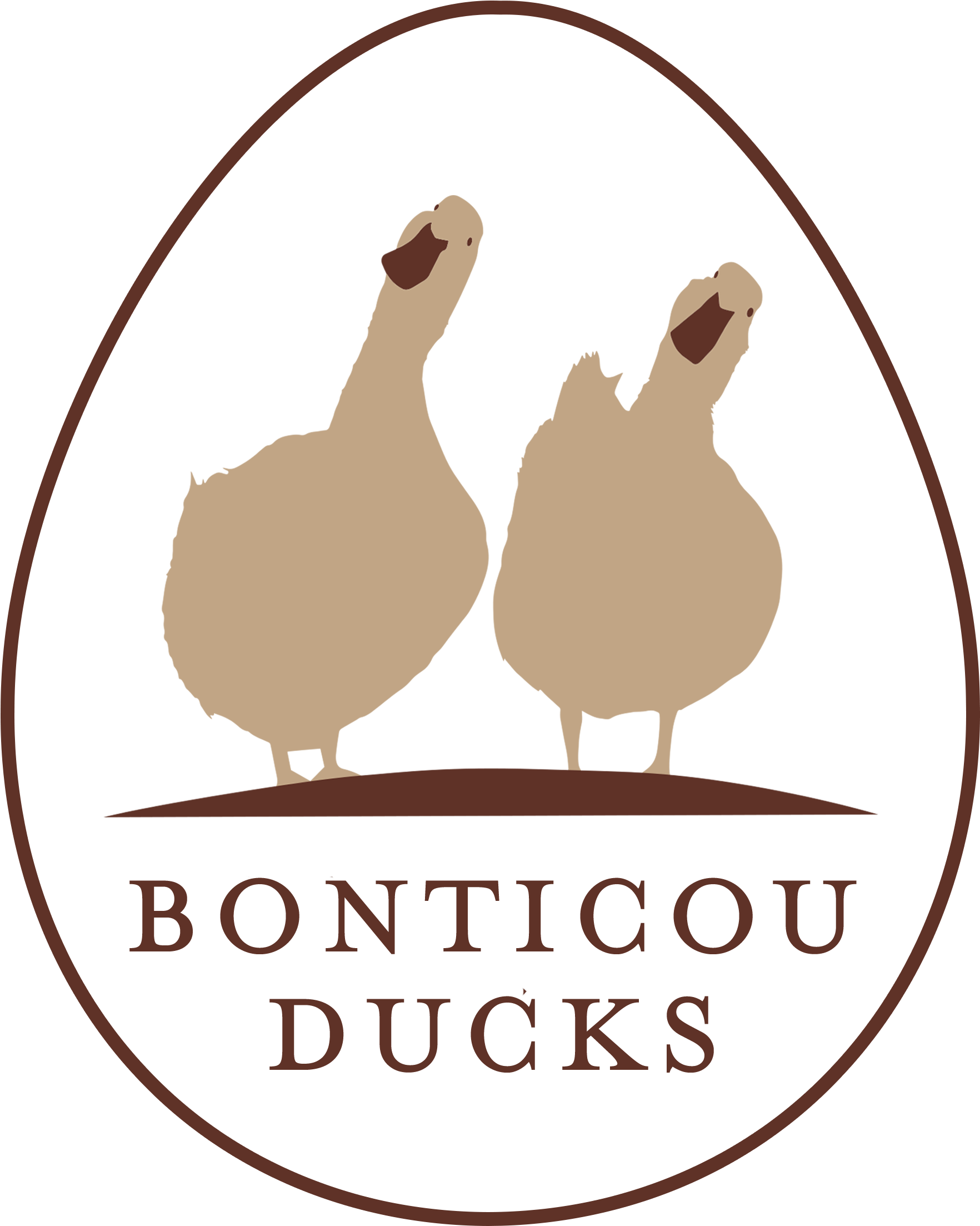 Bonticou Ducks Llc Clipart (1907x2250), Png Download