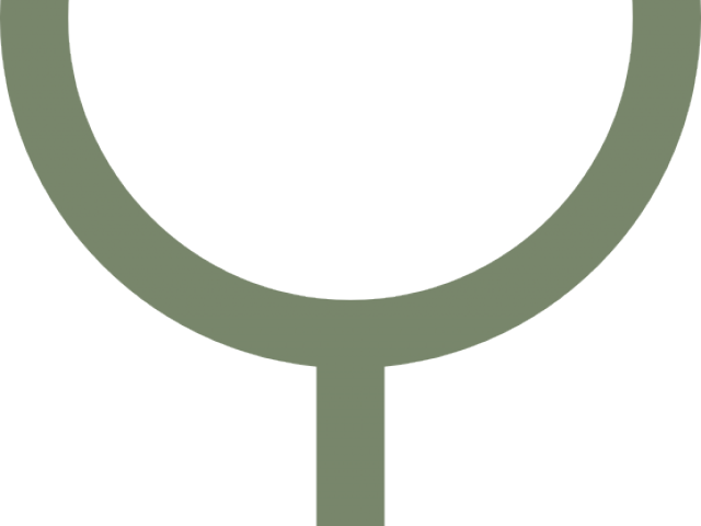 Dinosaur Clipart Female - Png Download (640x480), Png Download