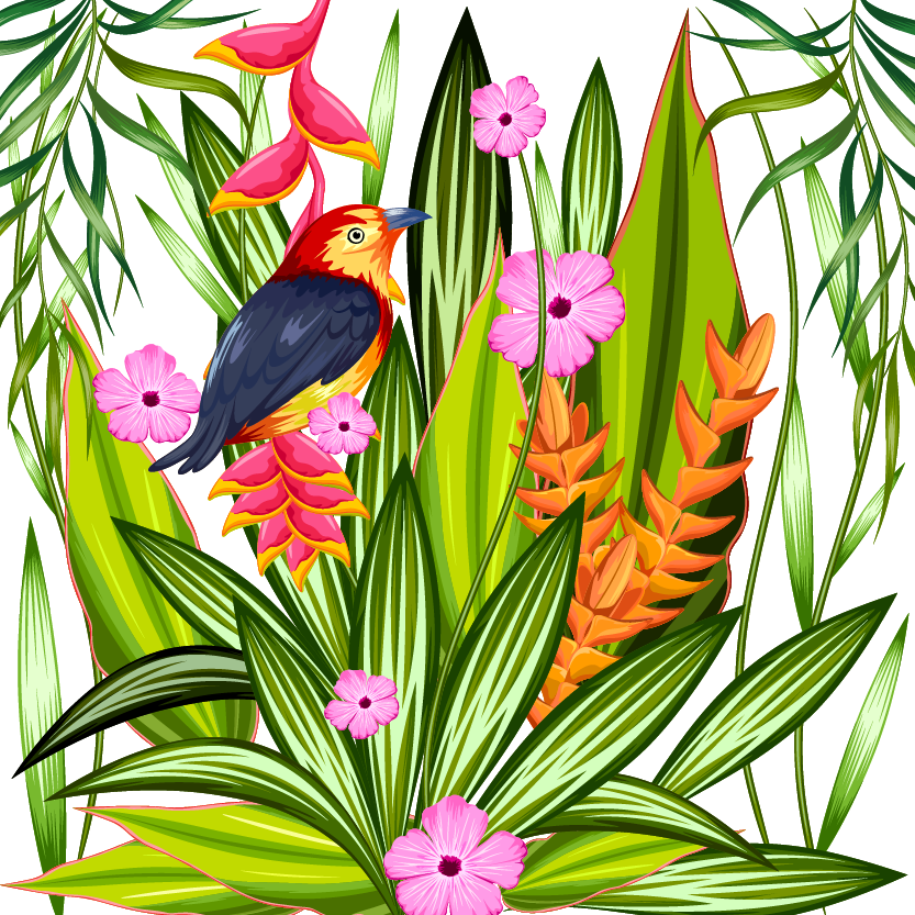 Parrot Tropics Tropical Illustration Material Transprent Clipart (833x833), Png Download