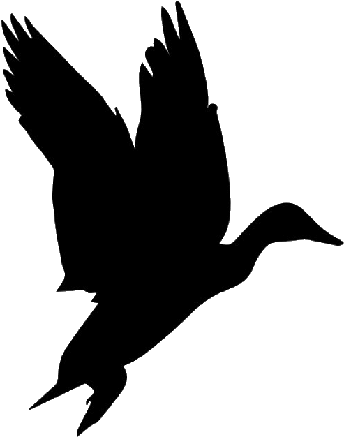 Hunter Vector Pheasant Hunting Clipart (626x626), Png Download