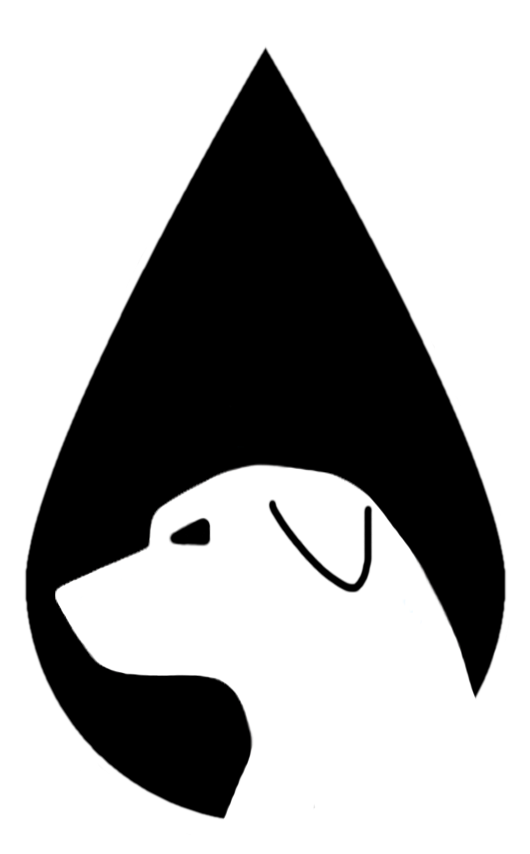 River Dog Outfitters Clipart (864x864), Png Download