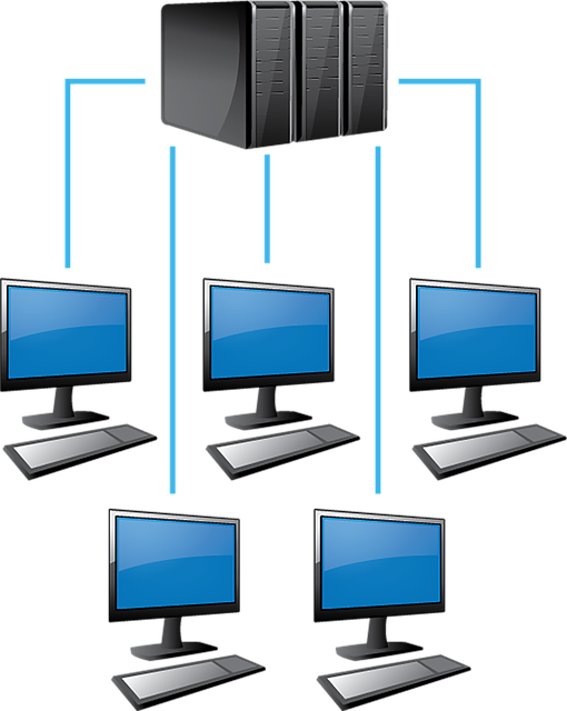 Computer Networking Clip Art - Png Download (510x640), Png Download
