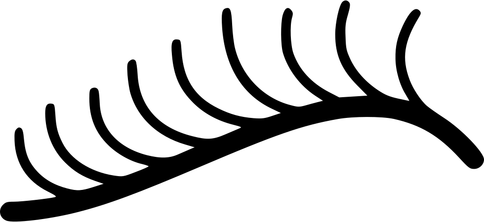 Eyelash Curler Comments Clipart (980x450), Png Download