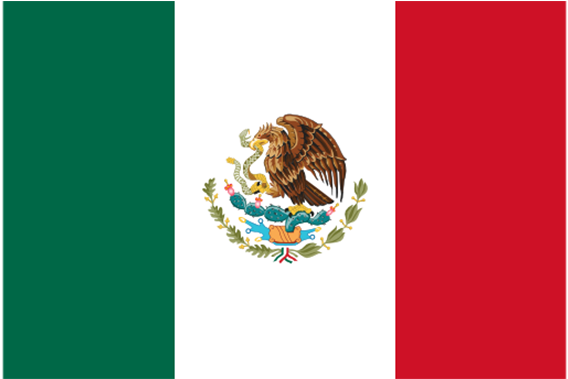 Mexico Flag Polyester X Clipart (570x600), Png Download
