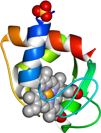 No Rotation Molmil Generated Image Of 1crj Clipart (768x768), Png Download