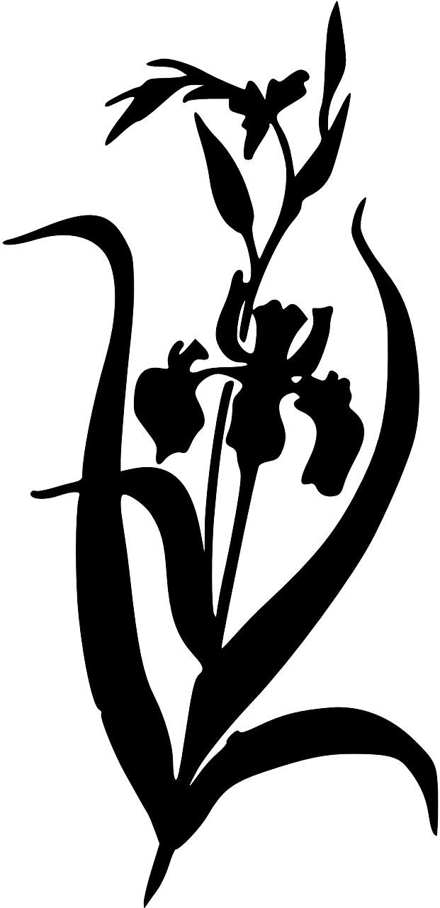 Silhouette Iris Plants Black Png Image Clipart (640x1280), Png Download