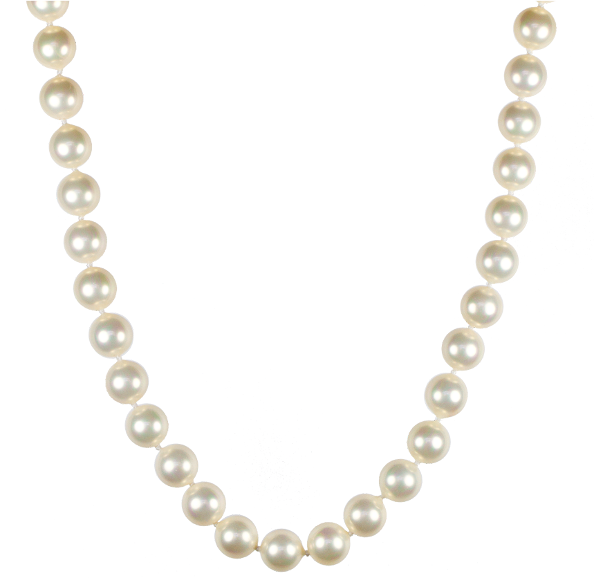 With A Pearl Clipart (860x928), Png Download