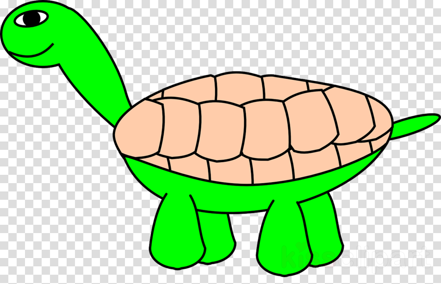 Cartoon Turtle Clipart Tortoise Turtle Reptile - Png Download (900x580), Png Download