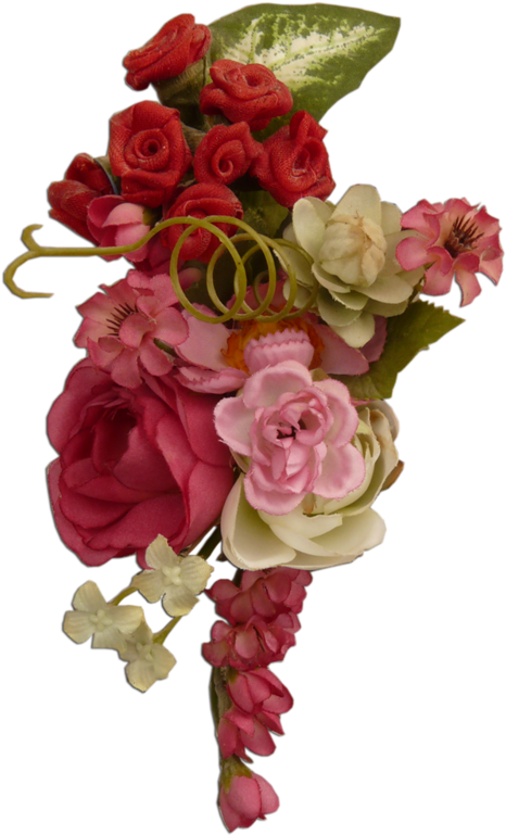 Fleurs, Éclat, Ornement, Flowers, Tubes, Bouquets, Clipart (544x800), Png Download