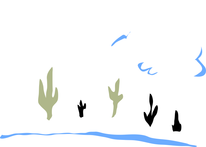 I Use The Observational Study Of Movement As My Fundamental Clipart (695x497), Png Download