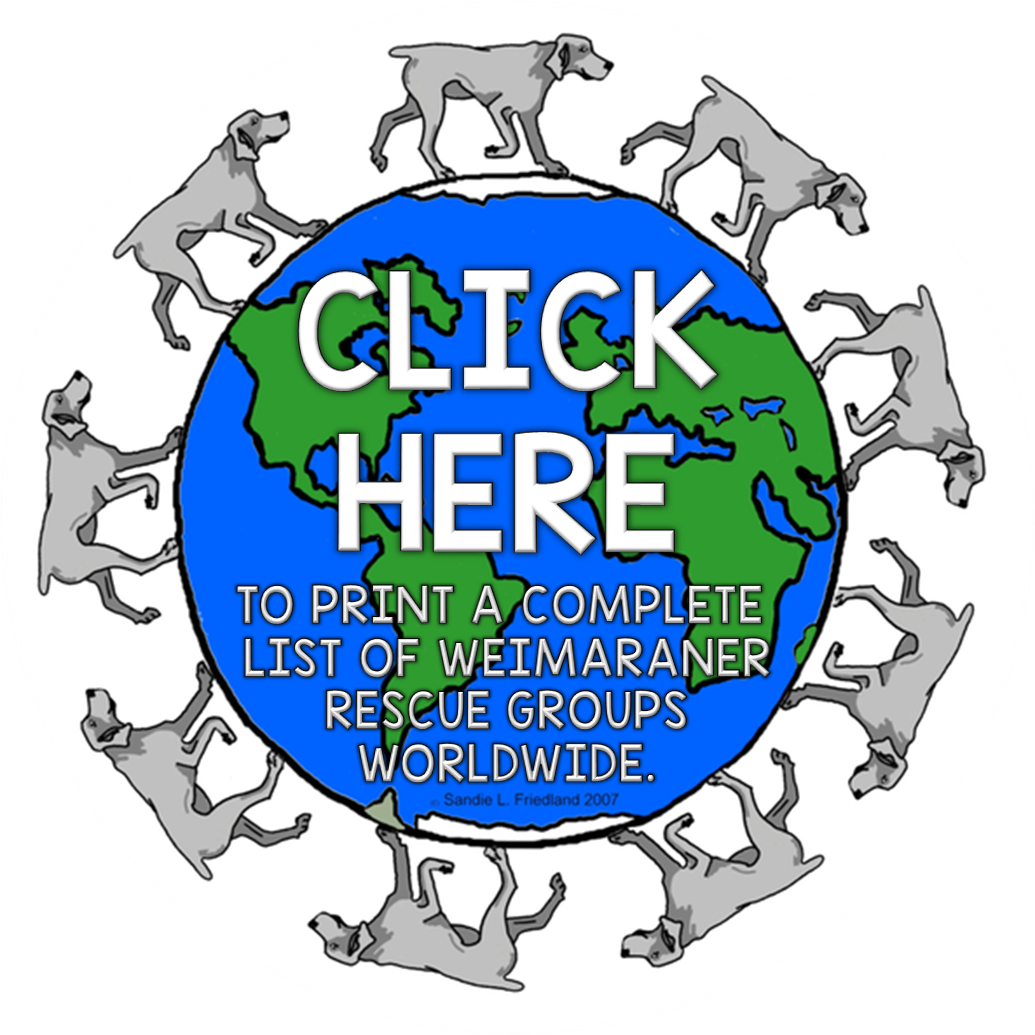 Click Here The Weimaraner Clipart (1035x1035), Png Download