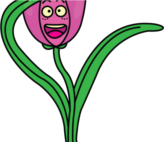 Drawn Tulip Cute Clipart (640x480), Png Download