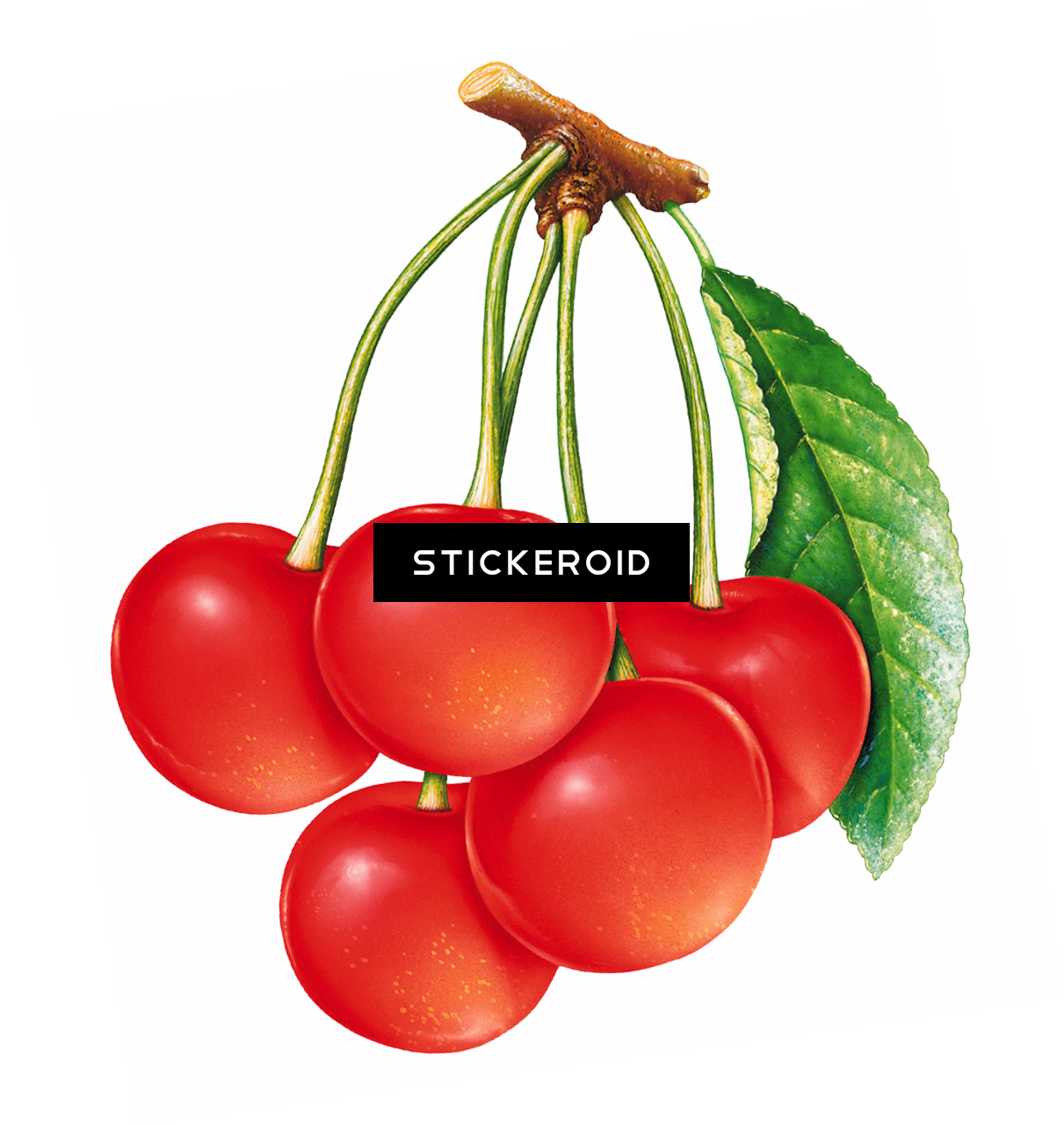 Cherries Cherry Fruits Nuts Clipart (1211x1280), Png Download