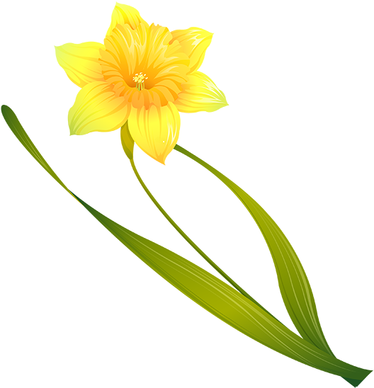 Tubes Fleurs Clipart (555x555), Png Download