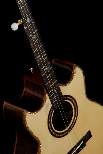Doc Fossey Guitar For The 5-string Banjo Player Clipart (700x800), Png Download